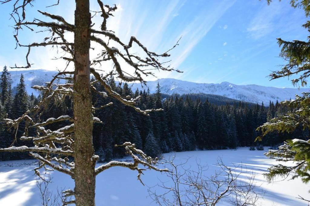 Chalets Adriana Demänovská Dolina Dış mekan fotoğraf